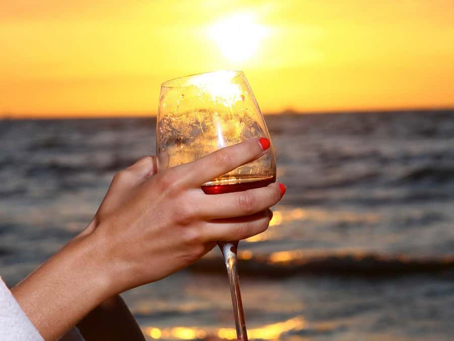Cairo: Nile Sunset Dinner Cruise, Show & Optional Transfer - What the $33 evening actually includes