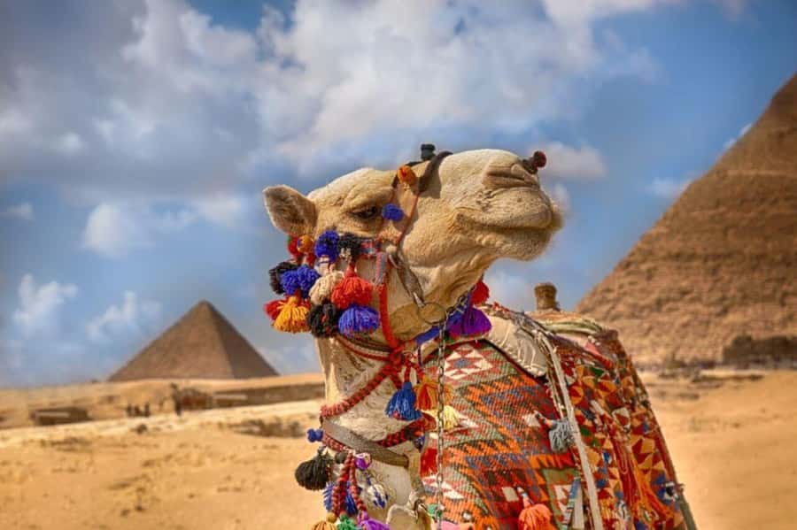 Cairo: Pyramids & Great Sphinx Private Tour with Camel Ride - Why a private Giza tour helps