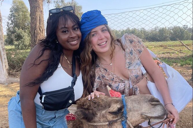 Camel ride in agadir at sunset with barbecue and couscous - Key points at a glance