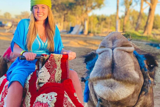 Camel ride in agadir at sunset with barbecue and couscous - What $34.89 gets you