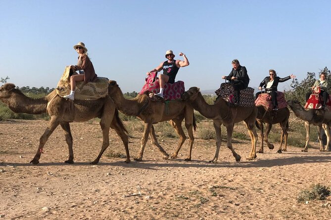Camel ride in agadir at sunset with barbecue and couscous - Who will enjoy this Agadir experience