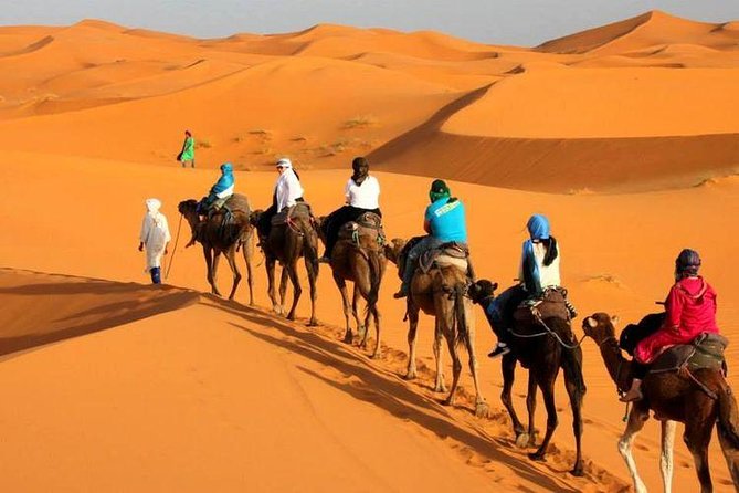 Camel ride in Tanger - The beach at Plage de Tanger
