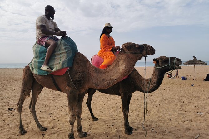 Camel ride in Tanger - Timing, weather, and comfort