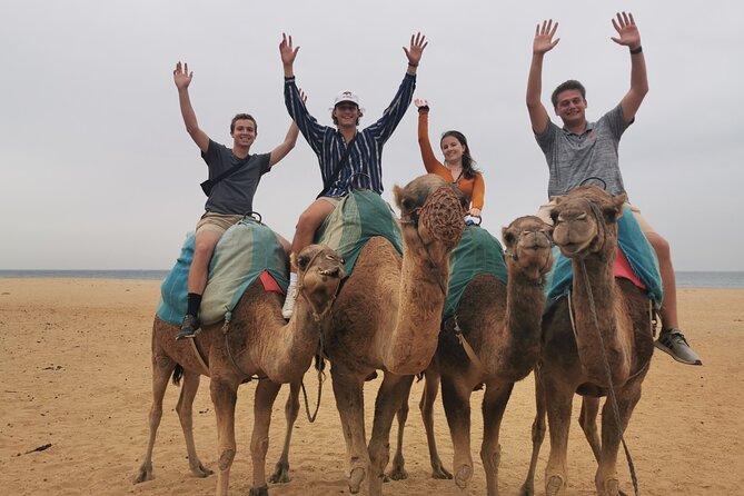 Camel ride in Tanger - Who will enjoy this outing most