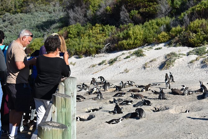 Cape of Good Hope and Penguins Full-Day Tour from Cape Town - Simon’s Town and the route back