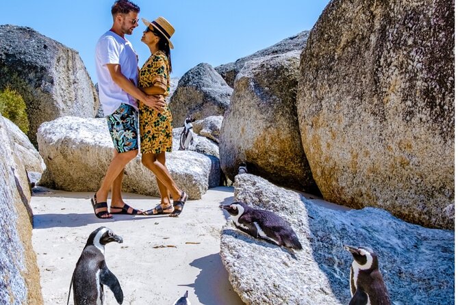 Cape of Good Hope & Penguins Small Group Tour from Cape Town - Why this Cape Peninsula tour works for a first visit