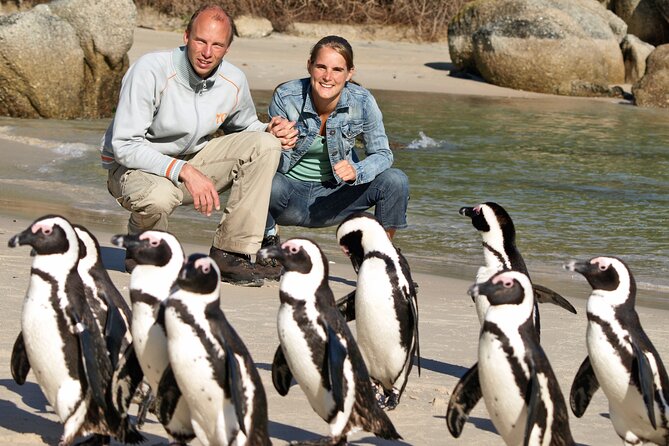 Cape of Good Hope & Penguins Small Group Tour from Cape Town - Bo-Kaap and the Atlantic Seaboard