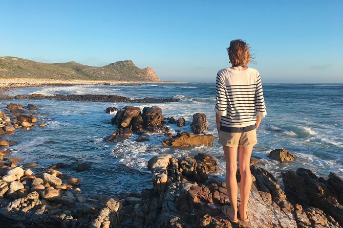 Cape Peninsula Private Tour In Cape Town South Africa - Boulders Beach and the African penguins