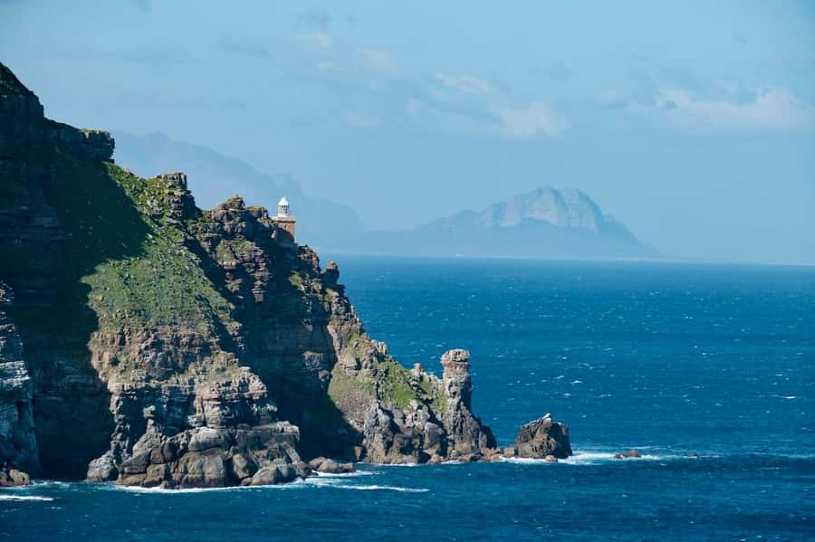 Cape Peninsula Shared Half-Day Tour - Key points to know before booking