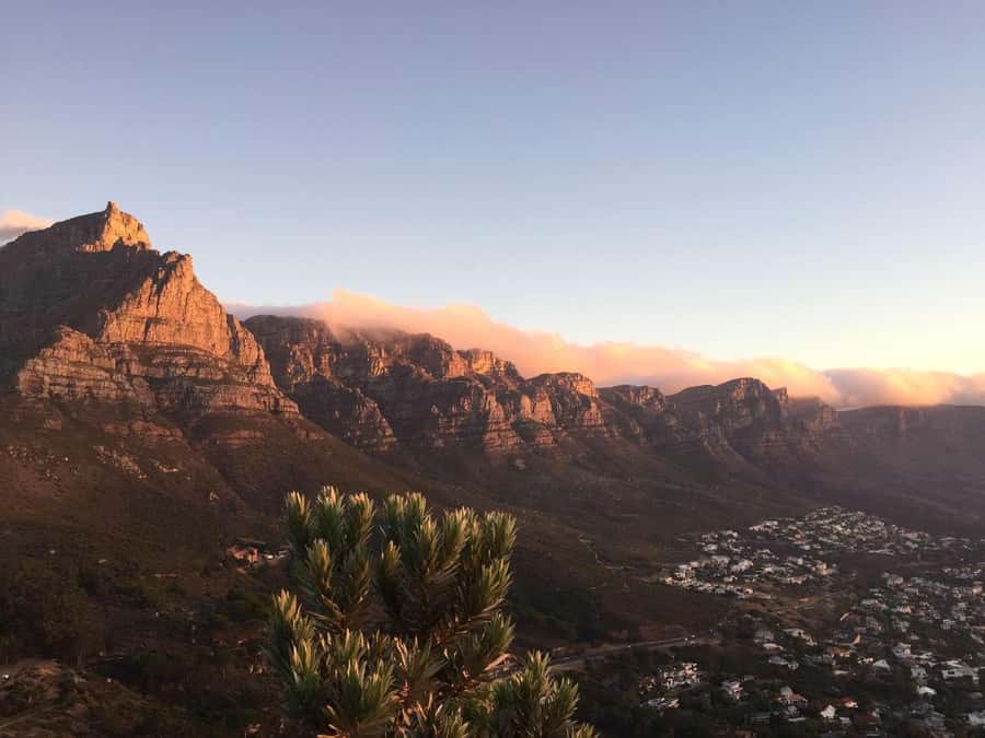 Cape Peninsula Shared Half-Day Tour - Why the Cape Peninsula makes a strong half-day outing