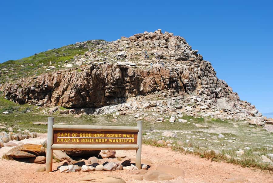 Cape Peninsula Shared Half-Day Tour - Constantia brings the day back toward Cape Town