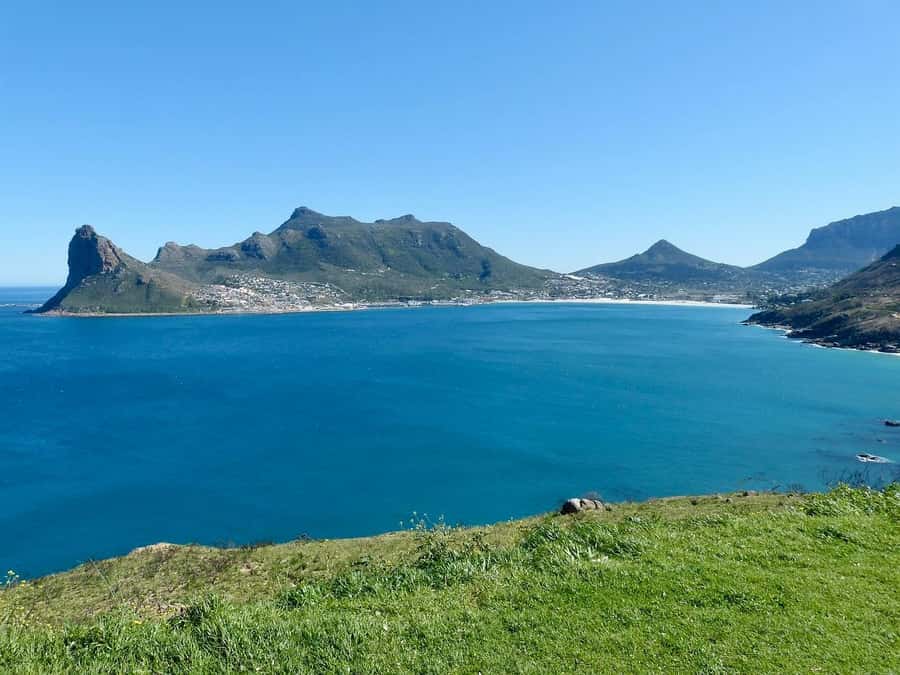 Cape Peninsula Shared Half-Day Tour - Guides, transport, and the pace of the day