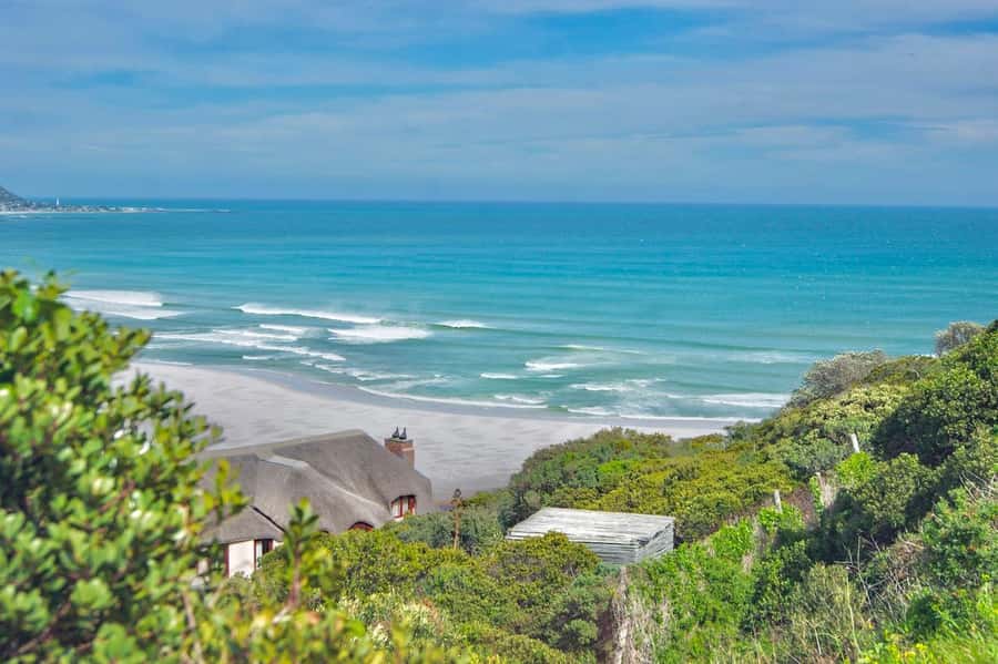 Cape Peninsula Shared Half-Day Tour - Who should book this Cape Peninsula tour?