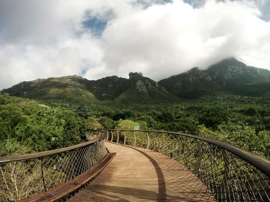 Cape Point Full-Day Tour From Cape Town - Muizenberg and Kirstenbosch on the Return