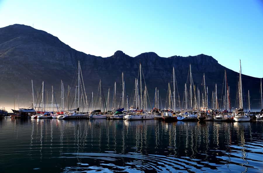 Cape Point Full-Day Tour From Cape Town - Is $113 Good Value?