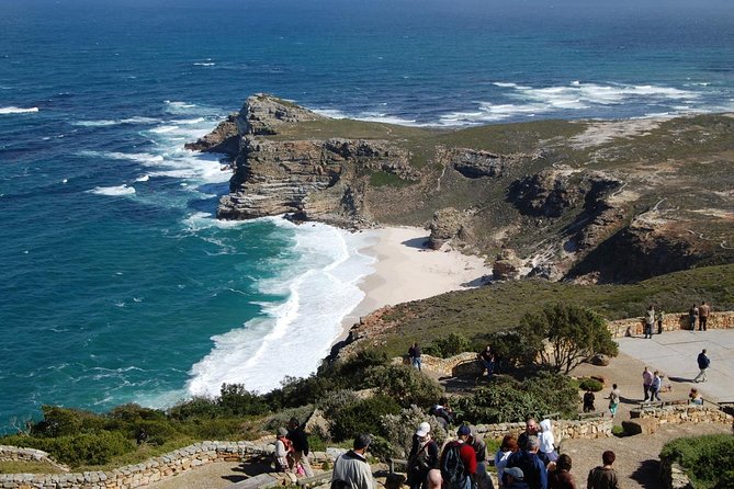 Cape Point Sightseeing Tour including Cape of Good Hope full day from Cape Town - Starting in Cape Town at 8:00 am