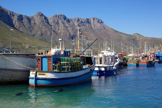 Cape Point Sightseeing Tour including Cape of Good Hope full day from Cape Town - Hout Bay and the optional Duiker Island boat