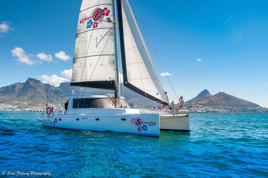 Cape Town: 1-Hour Pre-Sunset Champagne Cruise - Leaving the V&A Harbour before sunset