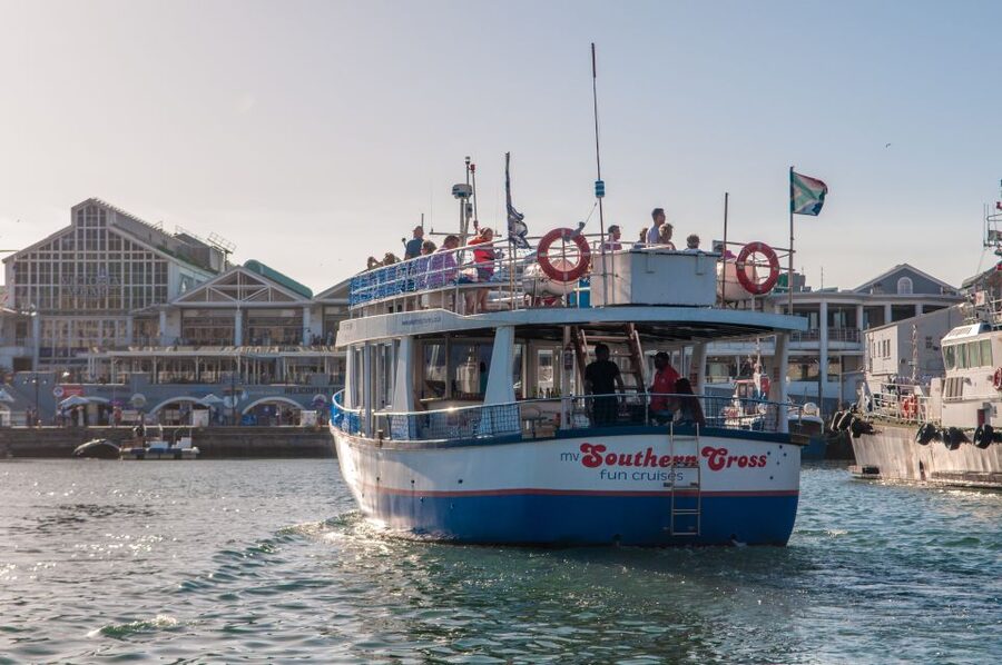 Cape Town: 30 Minute Harbour Boat Cruise with Seal Watching - What this short Cape Town cruise actually offers
