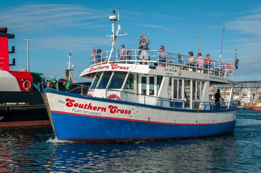 Cape Town: 30 Minute Harbour Boat Cruise with Seal Watching - Seal watching around the moored boats