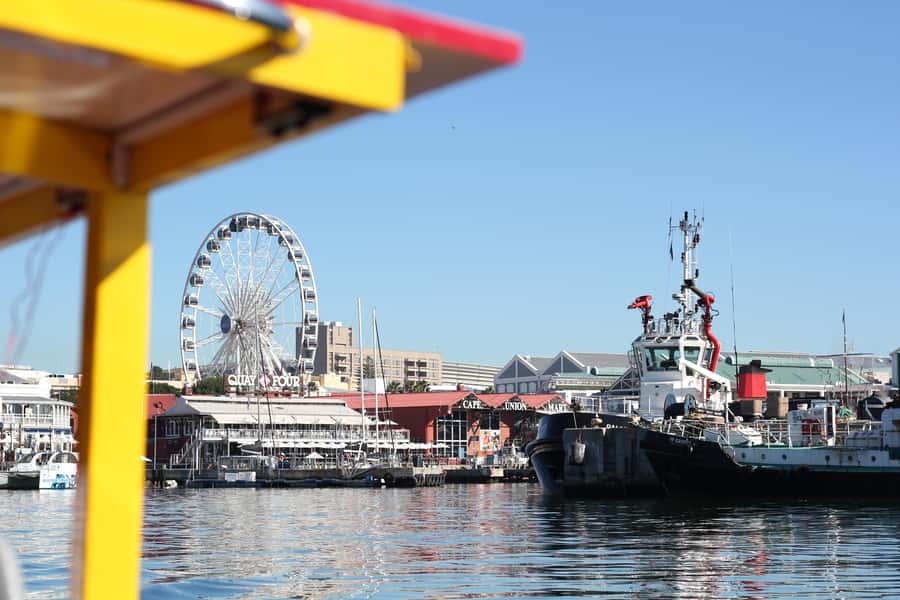 Cape Town: 30 Minute Seal-Watching Harbour Cruise - Who should take this boat ride?