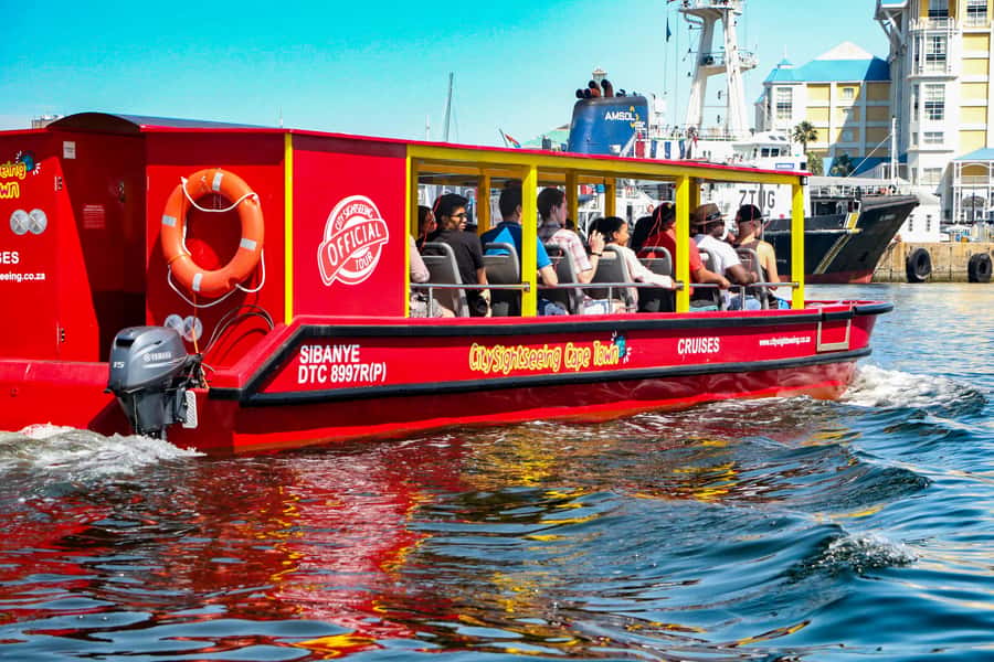 Cape Town: 30 Minute Seal-Watching Harbour Cruise - Should you book the 30-minute harbour cruise?