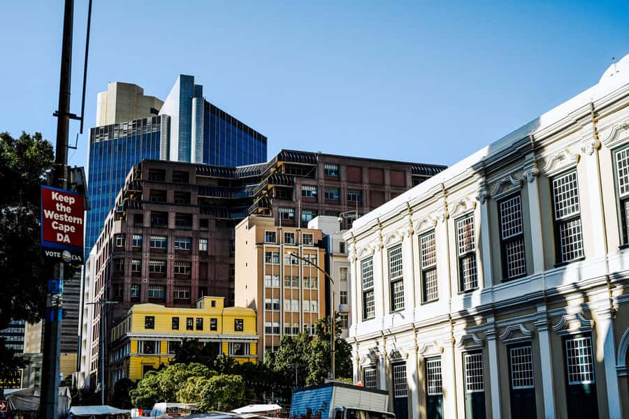 Cape Town: Art, Culture & History Walking Tour - Company’s Garden and the city’s formal center