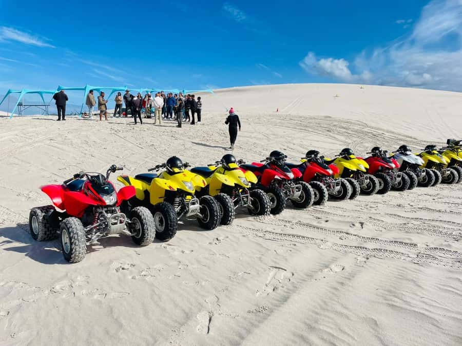 Cape Town: Atlantis Dunes Quad Bike & Free Sandboarding Tour - Key Points