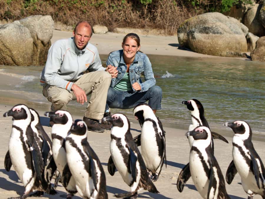 Cape Town: Cape of Good Hope & Penguins Day Tour with Pickup - Why this Cape Peninsula tour works well for a first visit