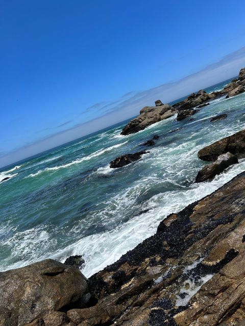 Cape Town: Cape of Good Hope & Penguins Full-Day Guided Tour - Simon’s Town makes a sensible lunch stop