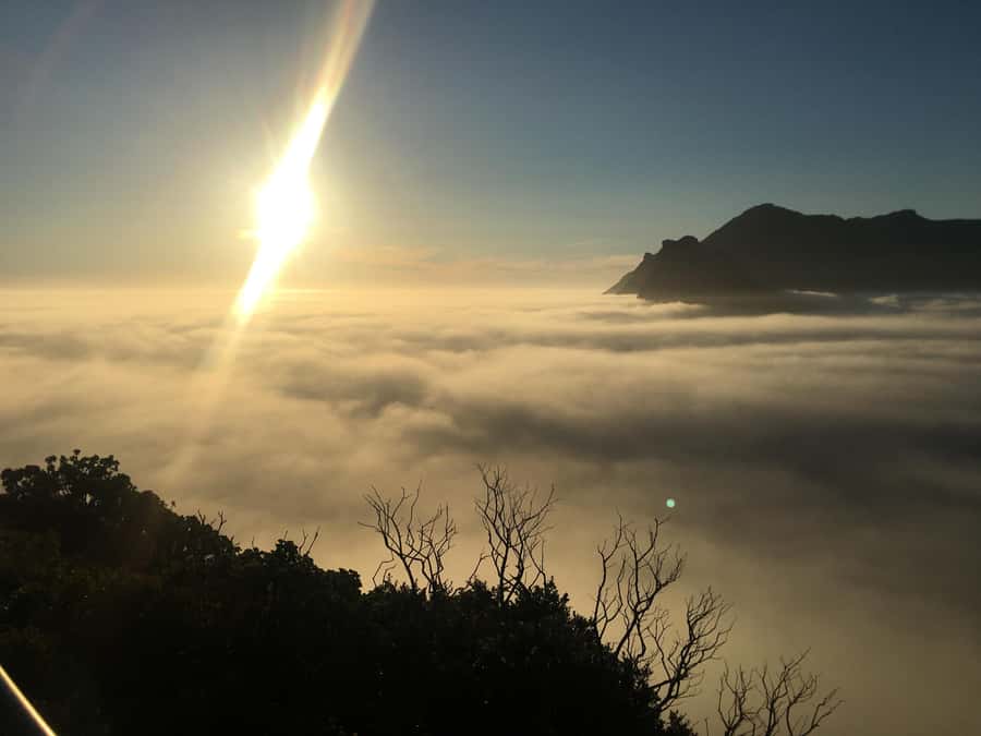 Cape Town: Cape of Good Hope & Penguins Full-Day Guided Tour - Chapman’s Peak supplies the big views