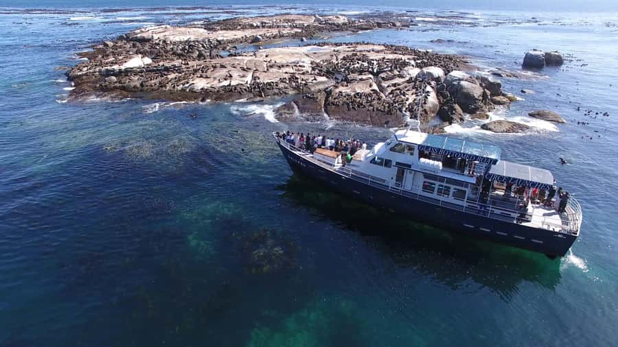 Cape Town: Cape of Good Hope, Seals and Penguins Day Tour - Why this Cape Peninsula day works so well