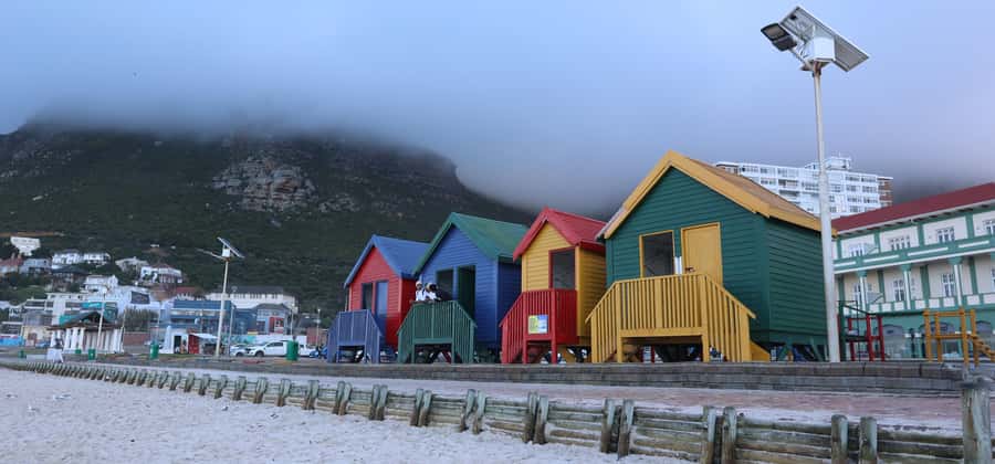 Cape Town: Cape Peninsula & Table Mountain Private Day Trip - Who should book this experience?