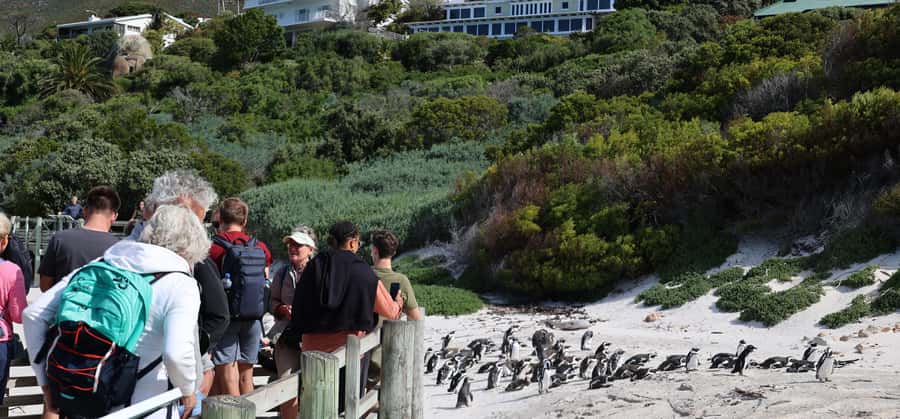Cape Town: Cape Peninsula & Table Mountain Private Day Trip - Table Mountain before the crowds