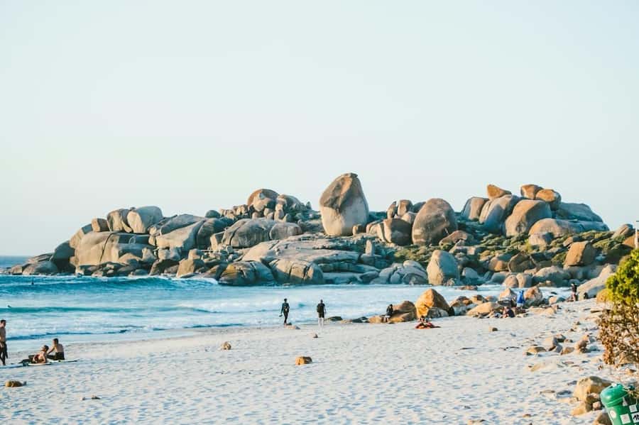Cape Town: Cape Point and Penguin Colony Full Day Tour - Lunch, extra fees, and the real cost