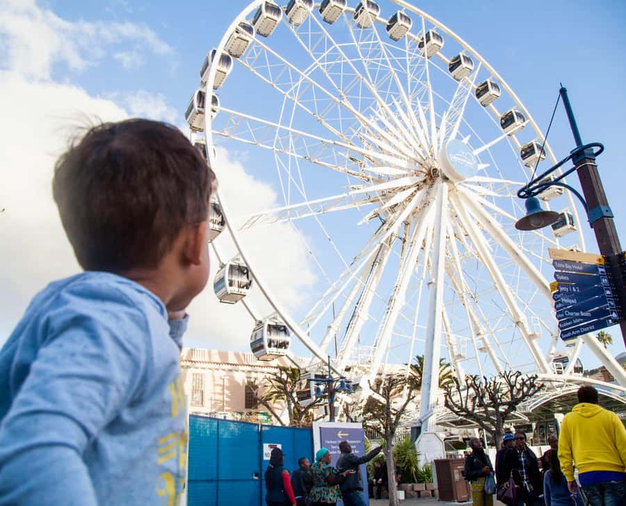 Cape Town City Pass: Save Over 50% on 80+ Top Attractions - Choosing one, three, or five days