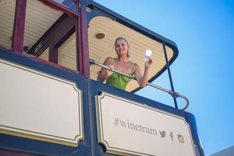 Cape Town: Full-Day Wine Tasting Tour with Wine Tram - A full day through Stellenbosch and Franschhoek