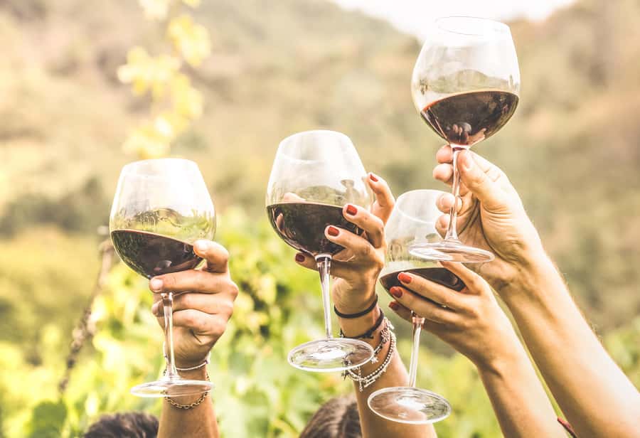 Cape Town: Full-Day Wine Tasting Tour with Wine Tram - Lunch and free time in Franschhoek
