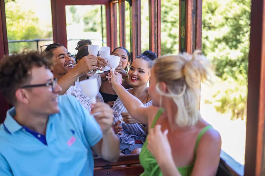 Cape Town: Full-Day Wine Tasting Tour with Wine Tram - Riding the Franschhoek wine tram
