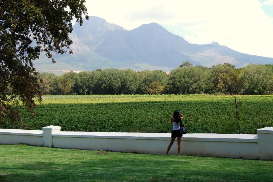 Cape Town: Full-Day Winelands Tour with Wine Tastings & Food - From Cape Town to Paarl, with the first tasting