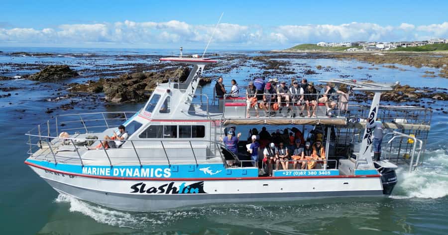 Cape Town: Gansbaai Eco-Friendly Shark Cage Diving Cruise - Boarding Slashfin and reaching the shark site