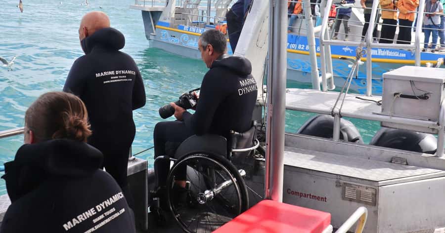 Cape Town: Gansbaai Eco-Friendly Shark Cage Diving Cruise - How much value do you get for $237?