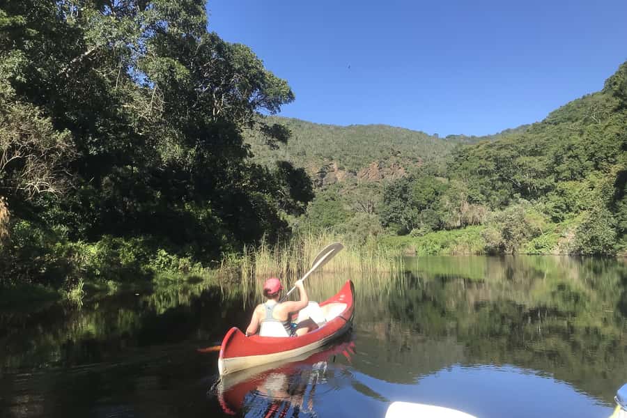 Cape Town: Garden Route and Addo Elephant Park 6-Day Safari - Quick takeaways