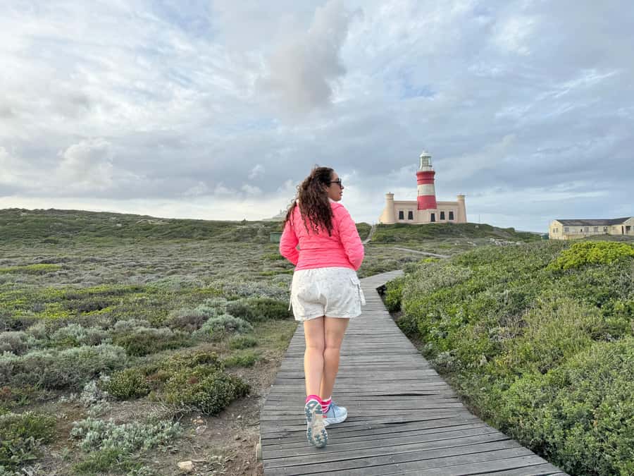 Cape Town: Garden Route and Addo Elephant Park 6-Day Safari - Day 4: Knysna, Bloukrans, and Tsitsikamma