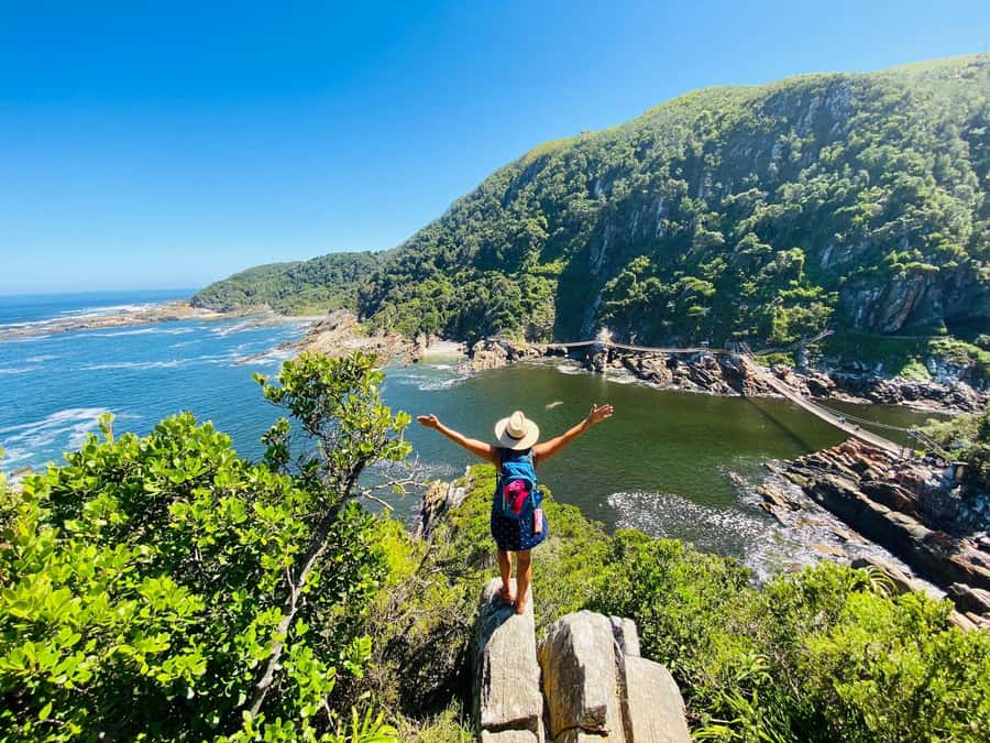 Cape Town: Garden Route and Addo Elephant Park 6-Day Safari - Accommodation, meals, and the real cost