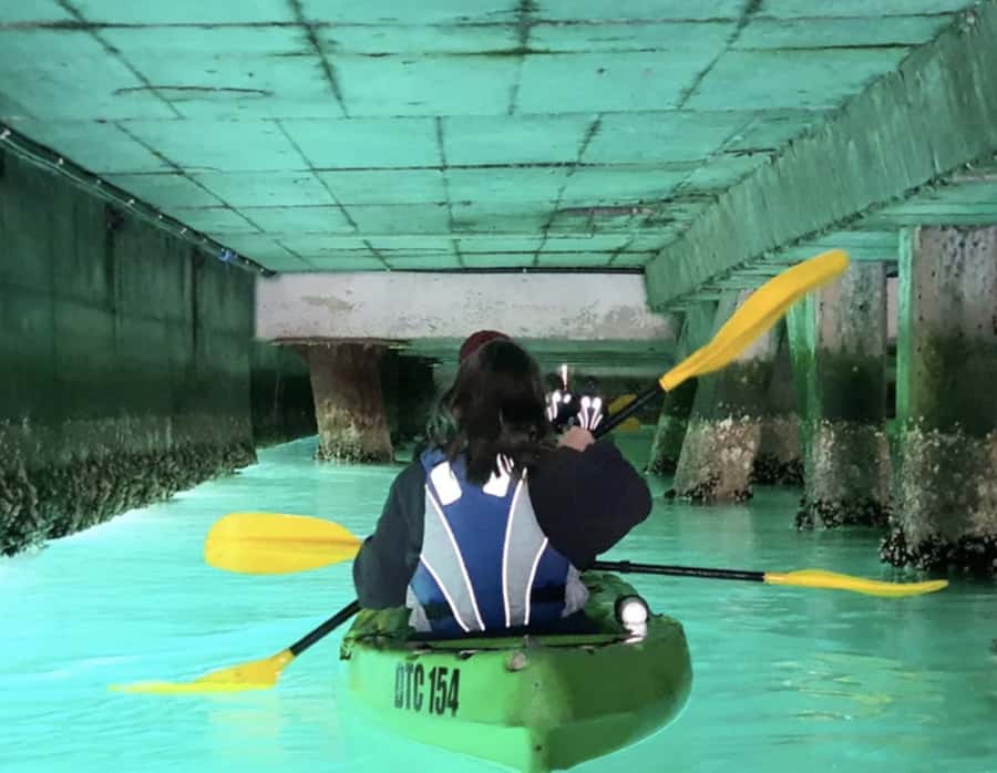 Cape Town: Guided Kayaking in Hout Bay - Paddling along the Hout Bay shoreline