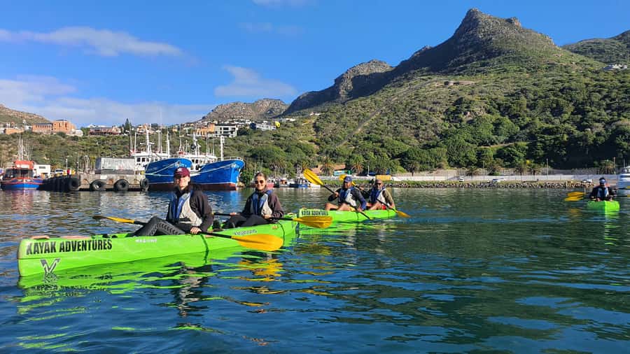 Cape Town: Guided Kayaking in Hout Bay - Watching Cape Fur Seals near the bay