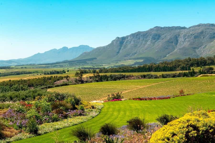 Cape Town: Guided Winelands Tour & Tasting in Stellenbosch - From Cape Town to the Stellenbosch winelands
