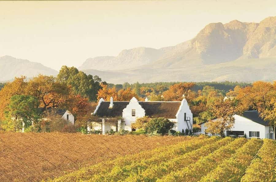 Cape Town: Guided Winelands Tour & Tasting in Stellenbosch - Pickup, timing, and the half-day trade-off