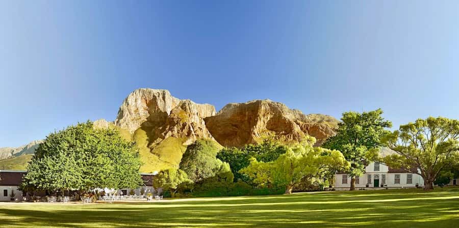 Cape Town: Guided Winelands Tour & Tasting in Stellenbosch - Languages, groups, and booking flexibility